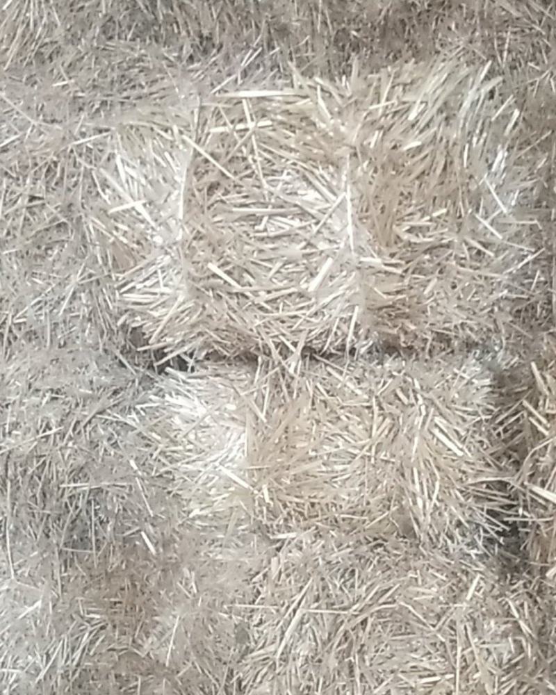 小麦秸秆，小麦秸，麦秆