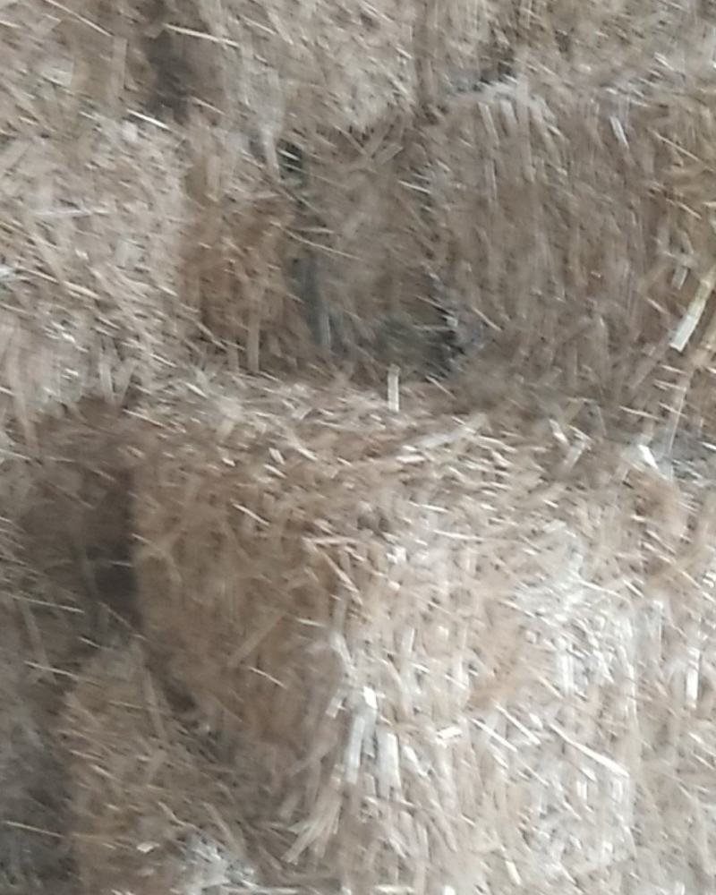 小麦秸秆，小麦秸，麦秆