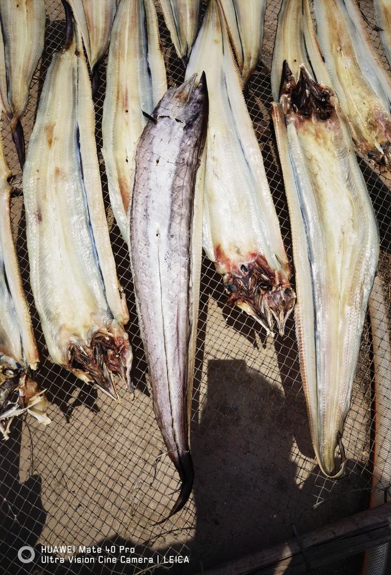 鳗鱼干淡干鳗鱼微咸鳗鱼开片场地直发咸鱼海产品批发