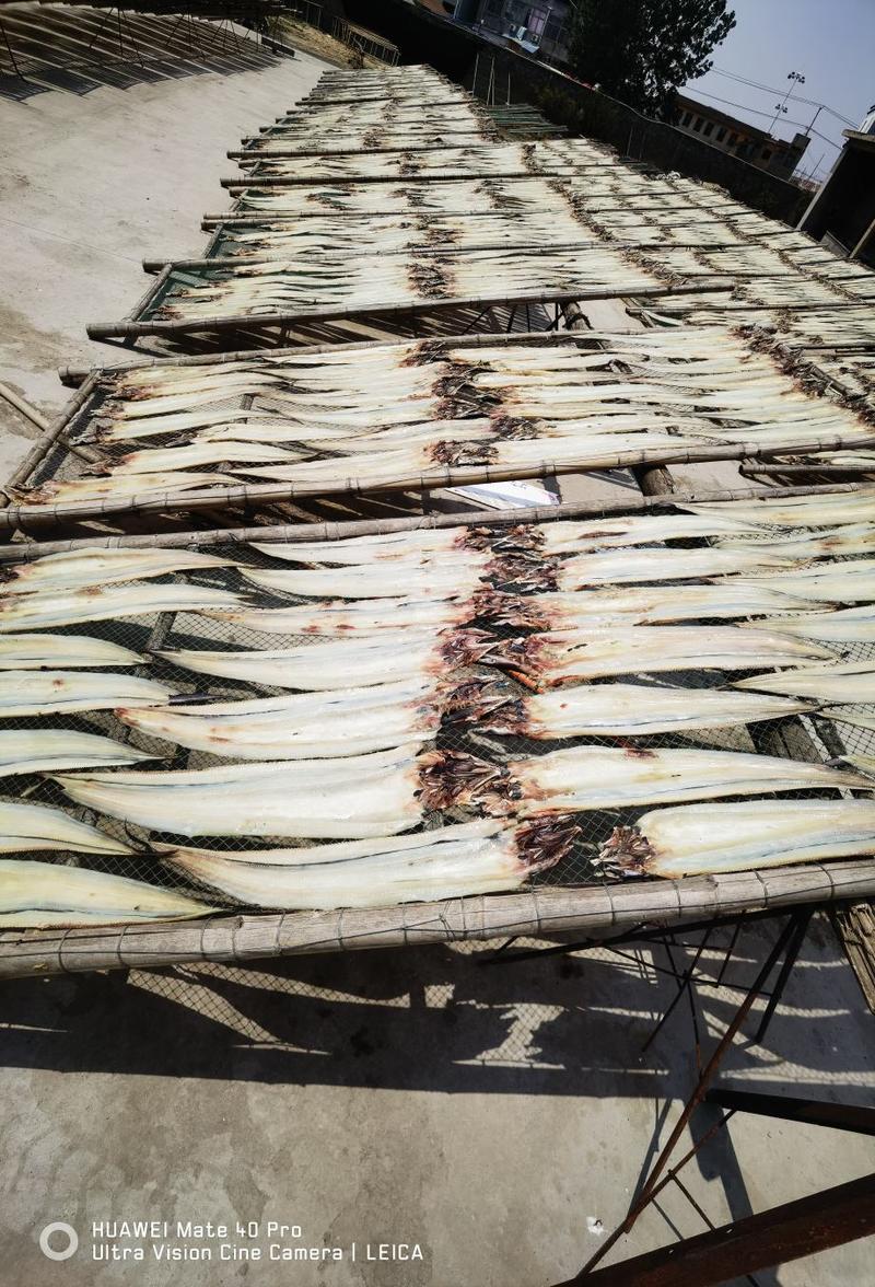 鳗鱼干淡干鳗鱼微咸鳗鱼开片场地直发咸鱼海产品批发