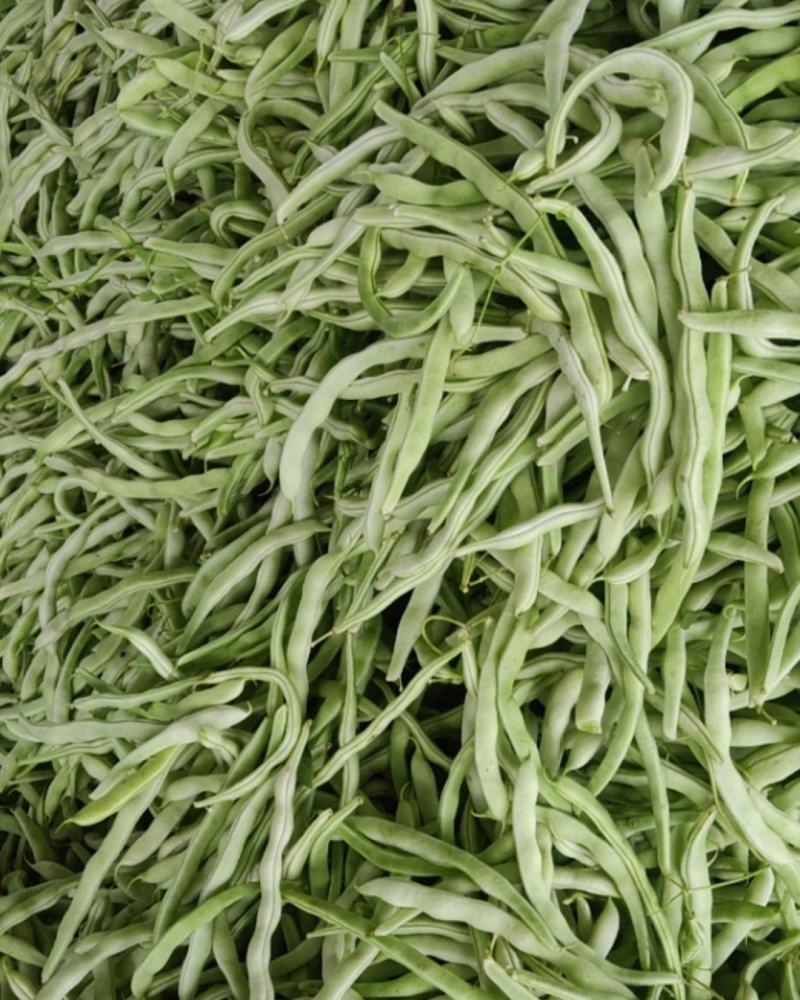 白豆角