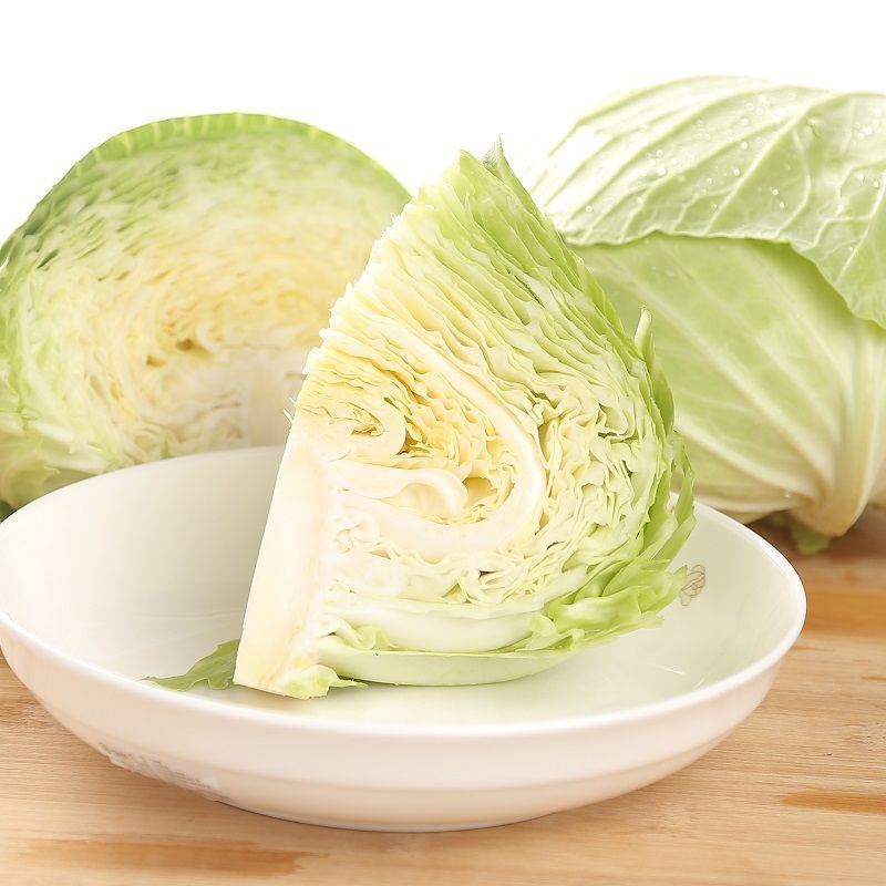 山西甘蓝圆包菜质量保证价格美丽量大从优欢迎订购