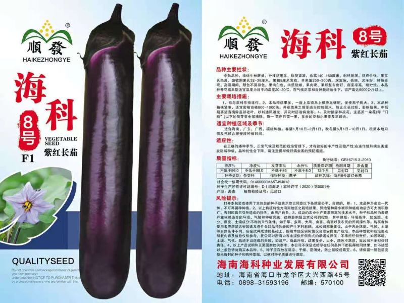 海科8号紫红长茄
