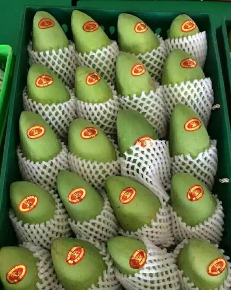 百色台农芒果，是每年的6月份上市。皮薄厚肉香甜