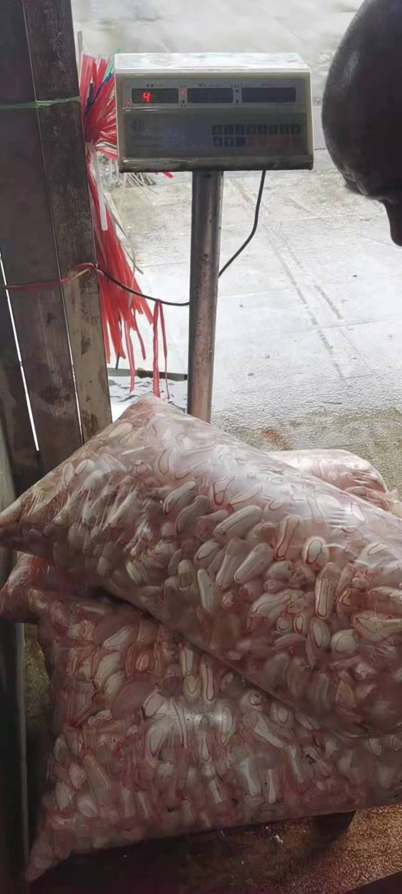 鲜鱼泡，冻鱼泡，白鲢鱼泡，新鲜加工，量大优惠。