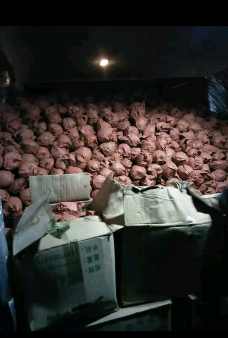 我们这的酥梨热卖中5毛上车价没有信息费大量有货，山地果胡