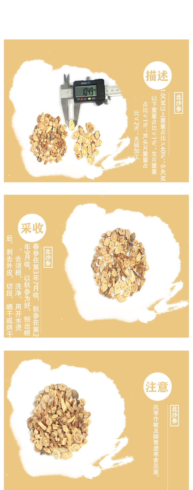 北沙参真北沙参,海沙参,银条参,菜阳参,辽沙参,野香菜根