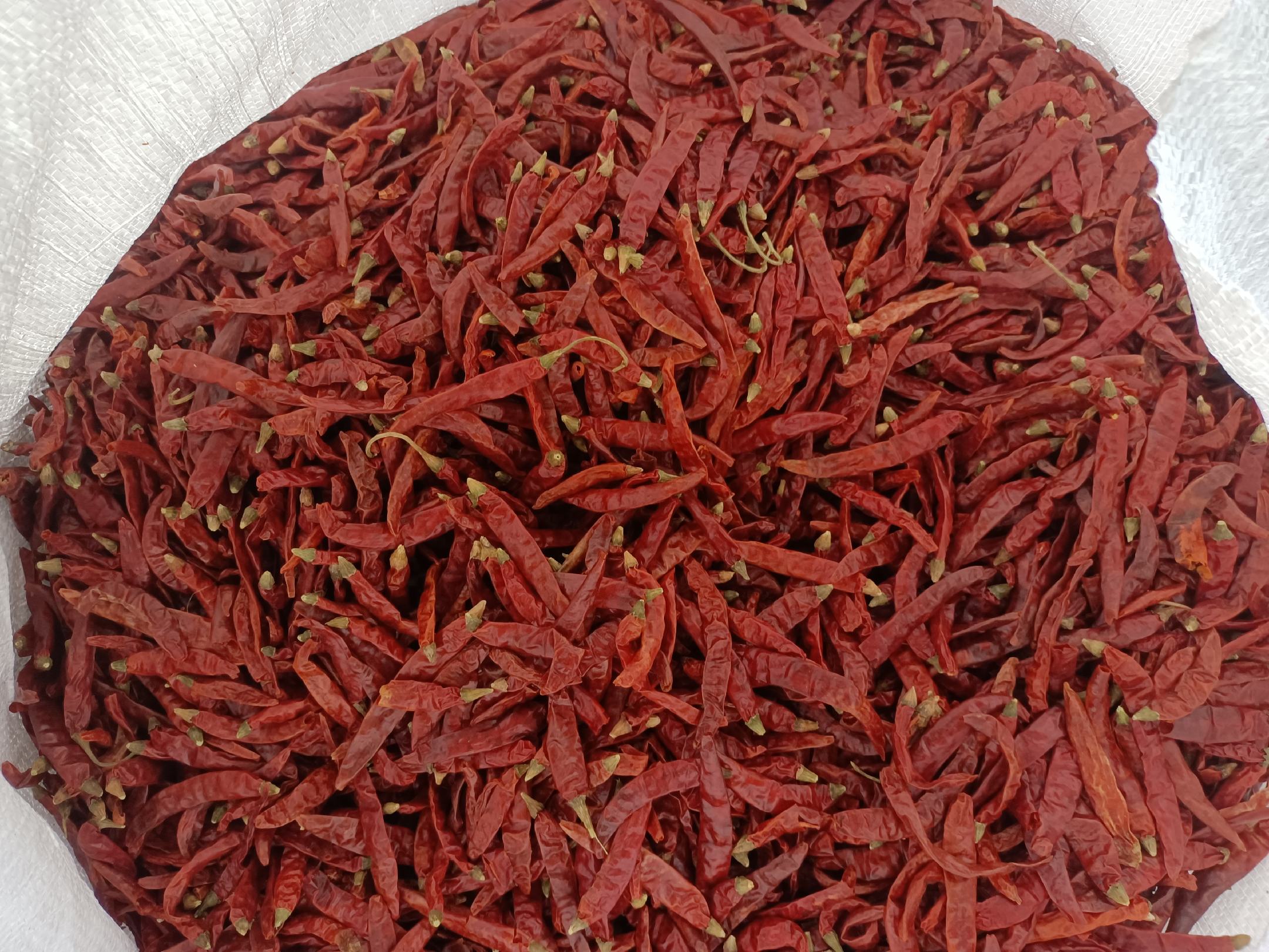 展示不同品种尖椒对比图,帮助读者识别不辣品种 如何挑选不辣的尖椒