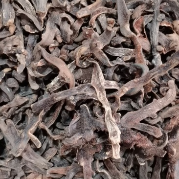 骨碎补(包邮)，3斤起批发，零售量大从优