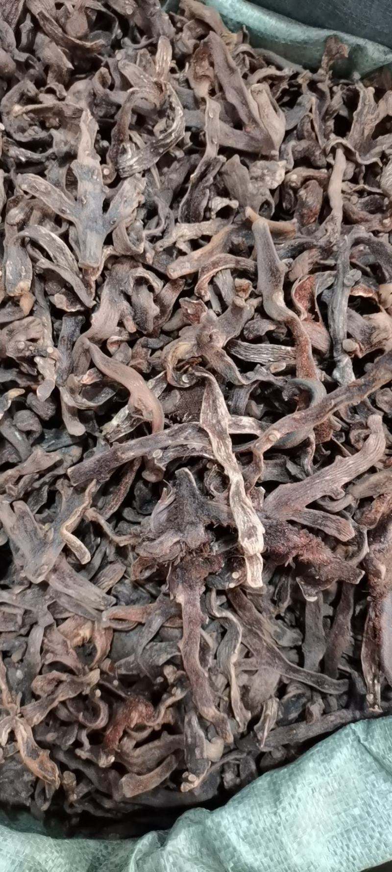 骨碎补(包邮)，3斤起批发，零售量大从优