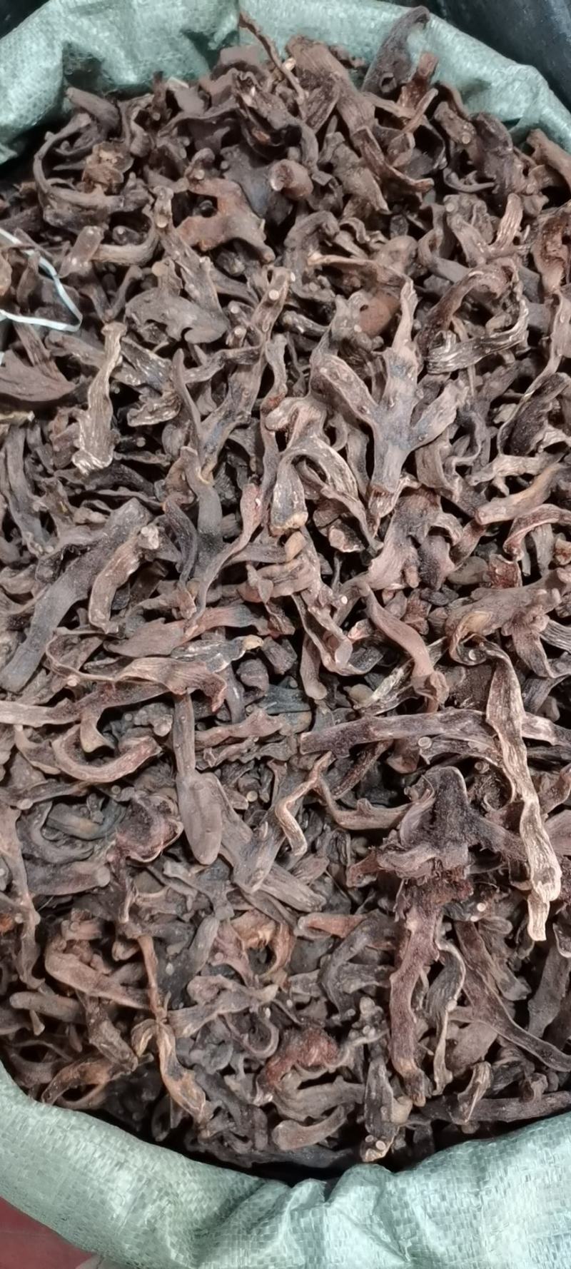 骨碎补(包邮)，3斤起批发，零售量大从优