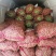 本地四季豆和白不老豆子大量上市了质量好颜色好无虫条形好