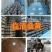 大量销售纯桑木桑黄菌包大量上市品质保证