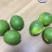 青柠檬次果花皮果