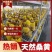 纯桑木桑黄菌包大量上市山东，品质保证，有意者可电话联系