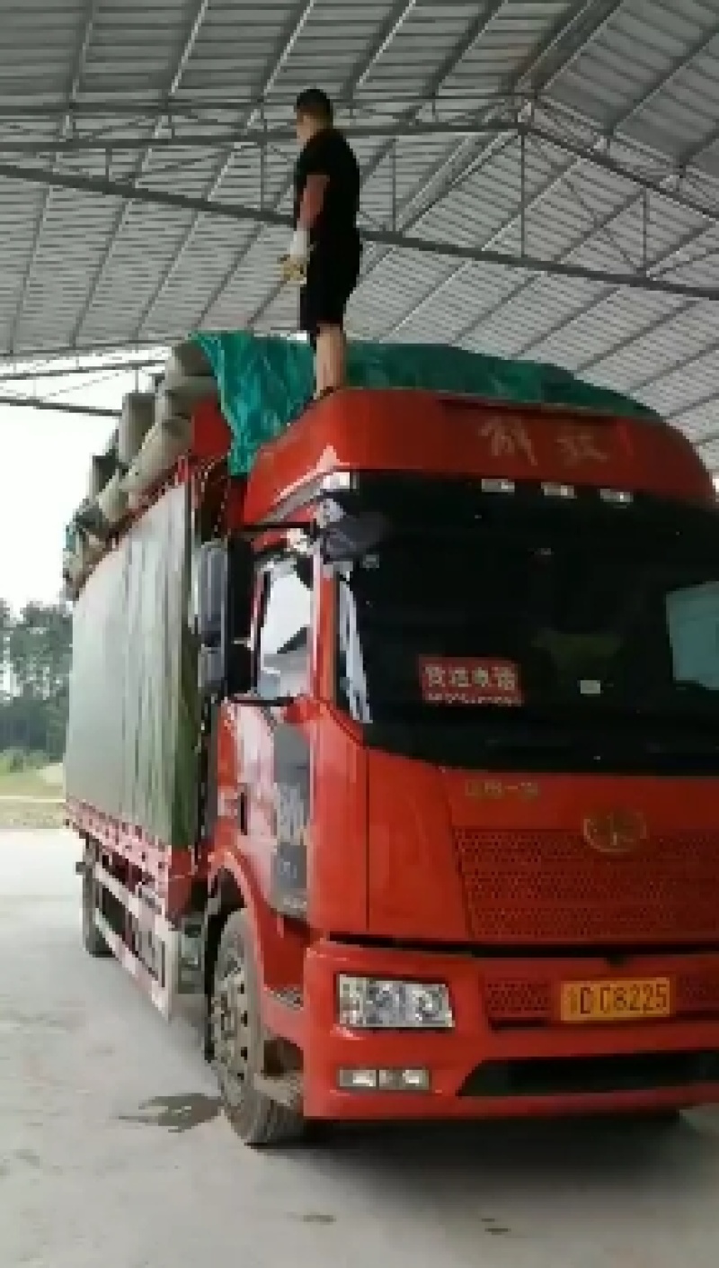 谷壳