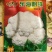 花椰菜种子东海明珠花菜种子白花菜种子紧花菜种子菜花种子