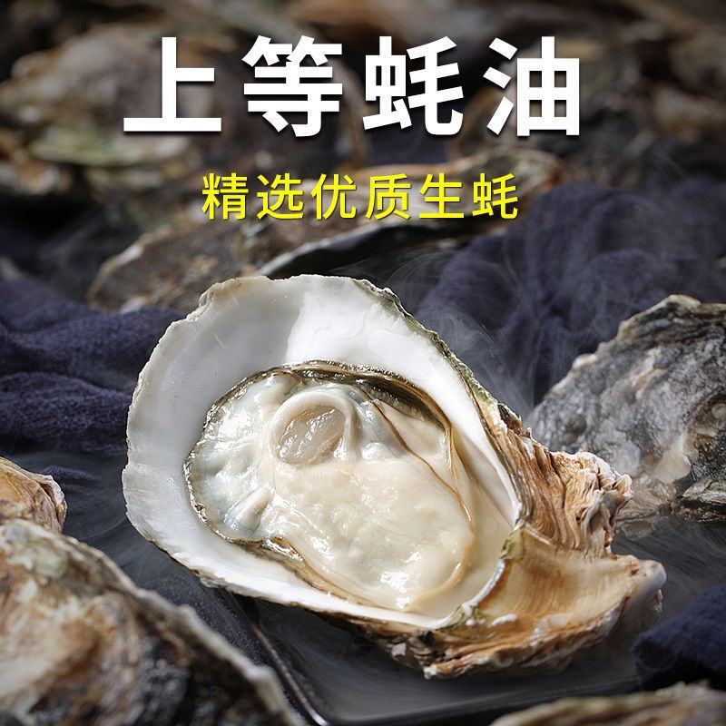金标上等蚝油正宗家庭装用炒菜拌馅烧烤火锅蘸料大瓶桶装包邮
