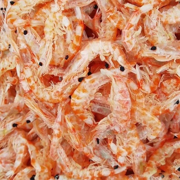 磷虾