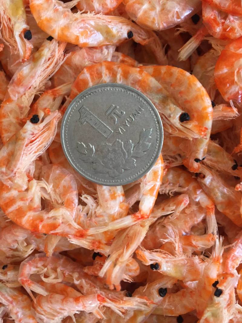 磷虾