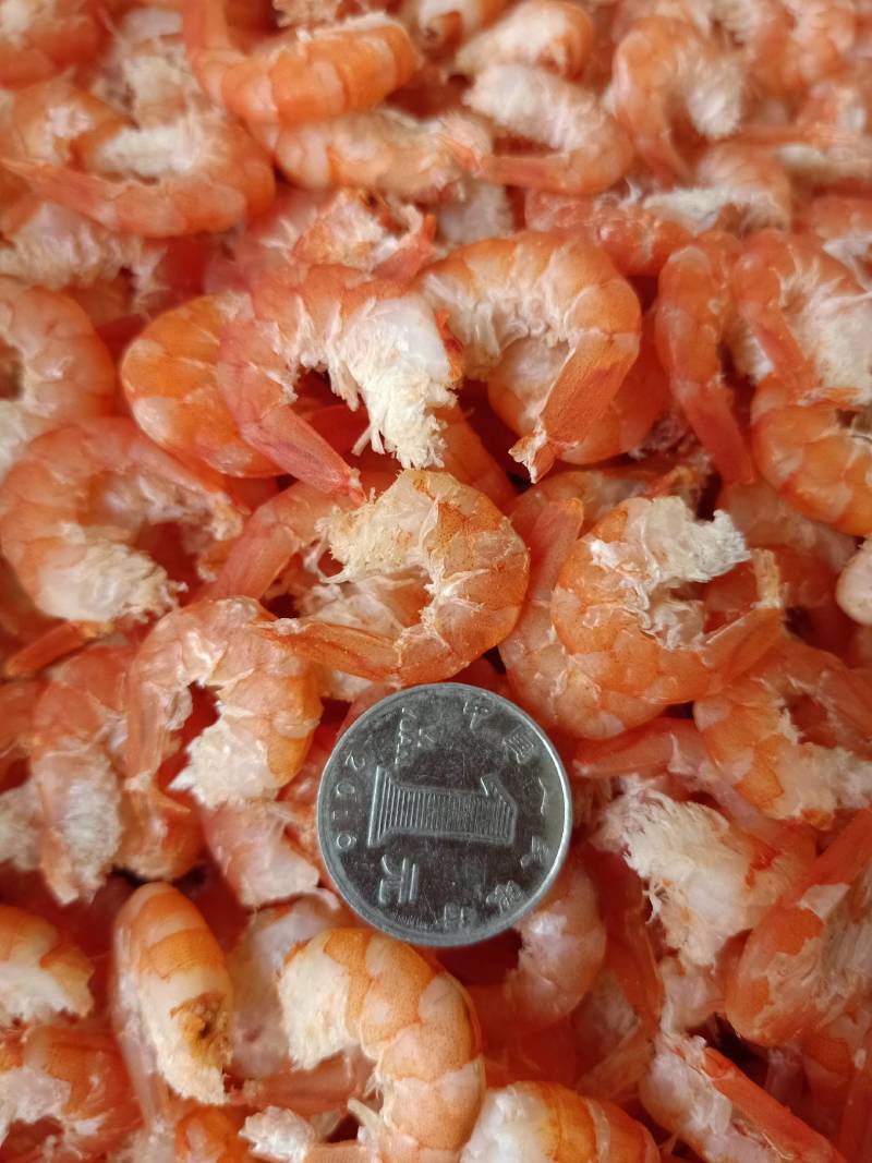 磷虾