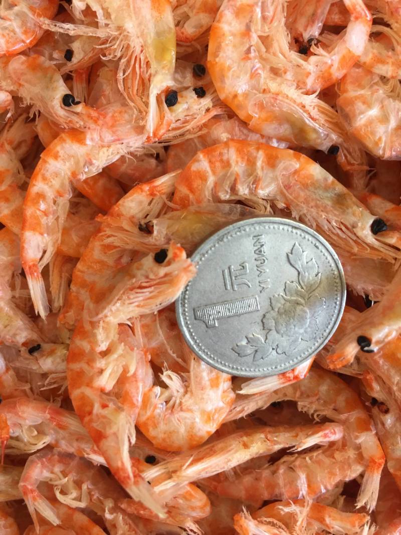 磷虾
