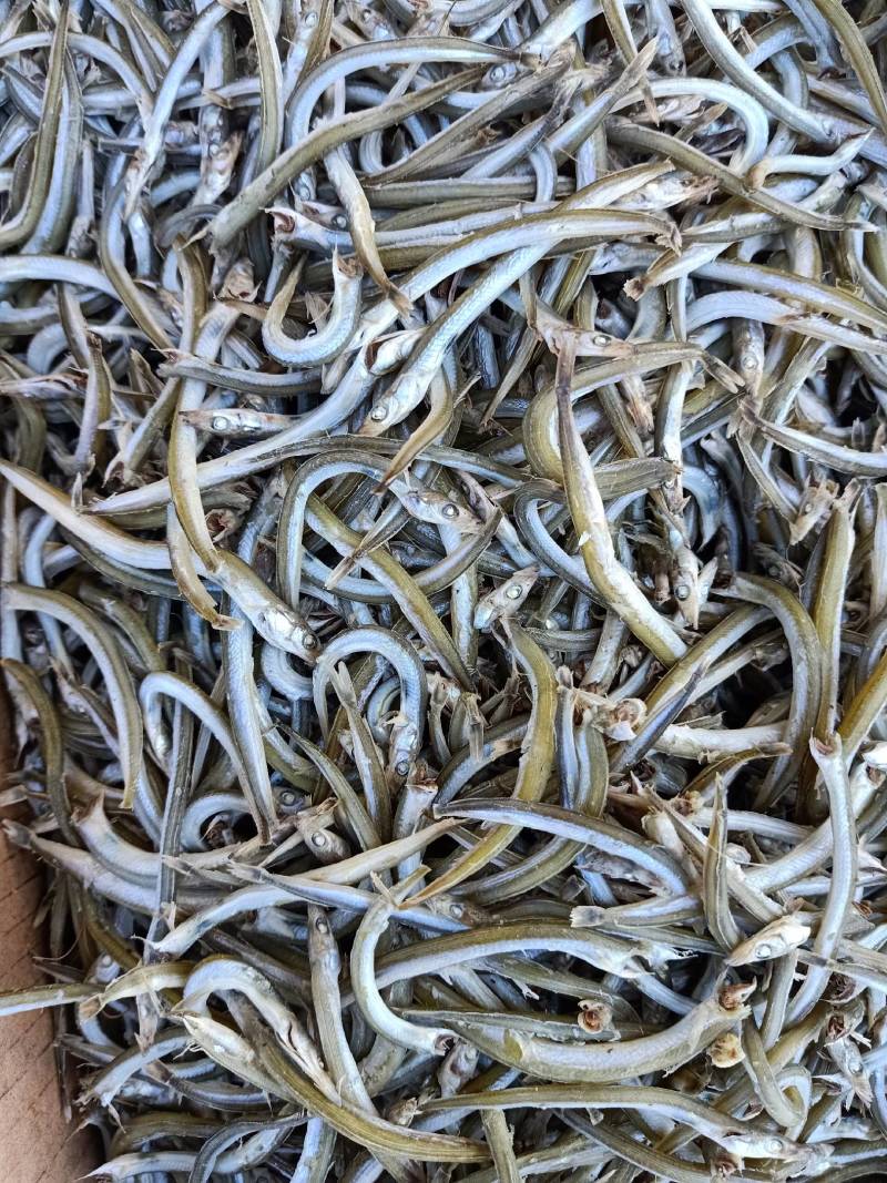 磷虾
