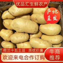 黄心土豆大量供应中，质量可靠支持全国发货