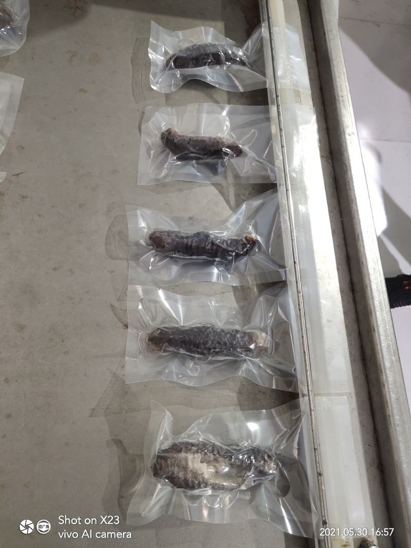 土耳其黑米刺，大量生产出货中，规格齐全，货源充足稳定