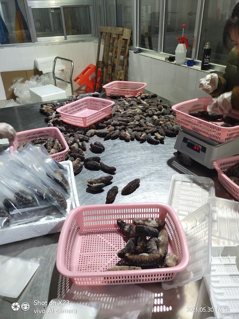 土耳其黑米刺，大量生产出货中，规格齐全，货源充足稳定