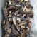 土耳其黑米刺，大量生产出货中，规格齐全，货源充足稳定