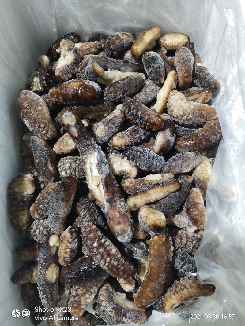 土耳其黑米刺，大量生产出货中，规格齐全，货源充足稳定