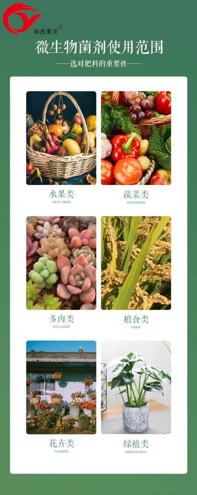 微生物菌剂，根腐专用，枯草芽孢杆菌生物有机菌肥基肥