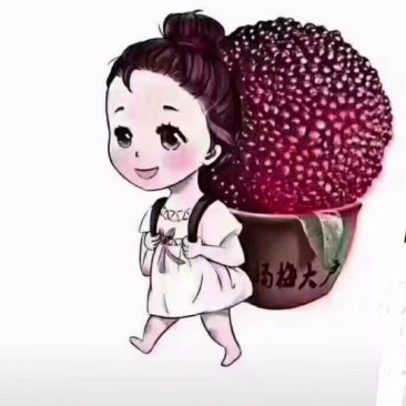 乌梅