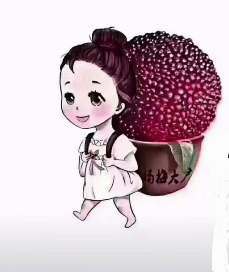 乌梅