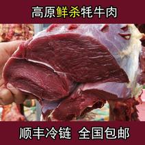 【冷链包邮】川西高原牦牛肉新鲜牛肉冰鲜装新鲜耗牛肉多规格