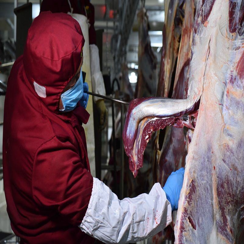 【冷链包邮】川西高原牦牛肉新鲜牛肉冰鲜装新鲜耗牛肉多规格