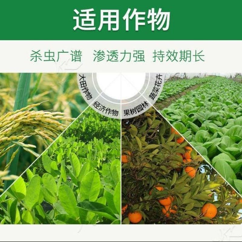 滨农阿维菌素红蜘蛛菜青虫蚜虫小菜蛾农药杀虫剂果树植物蔬菜