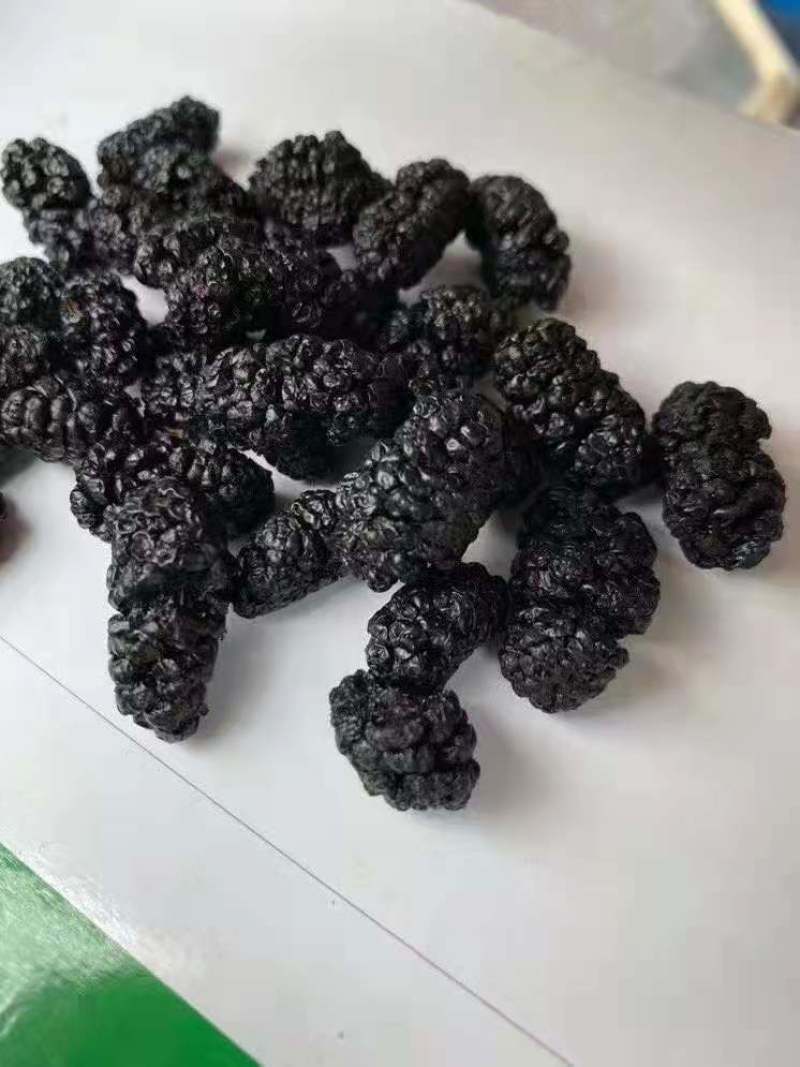 桑椹（产地攀枝花，距离昆明280多公里）