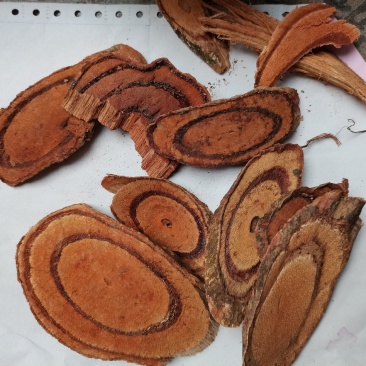 鸡血藤b级统货好统货看批发零售支持混及各种药材碎渣供应