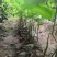 辣椒