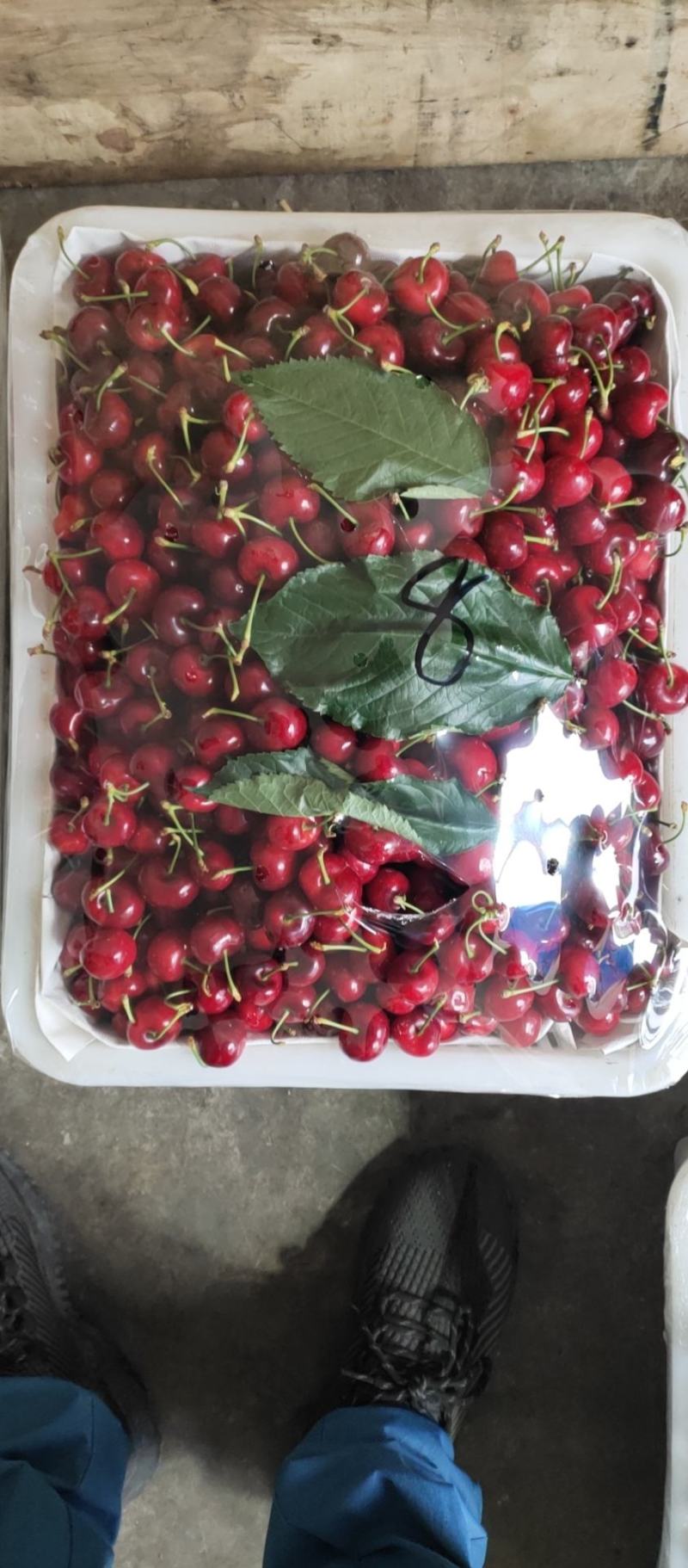 车厘子套袋果大量上市需要的联系我