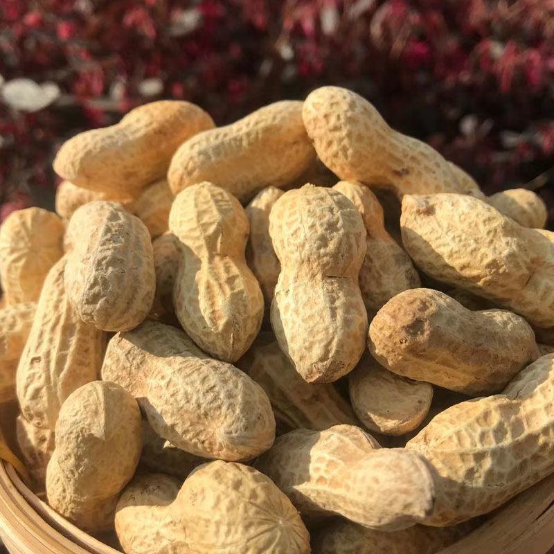 【产地直】新货花生蒜香花生批发炒熟零食多规格整箱包邮