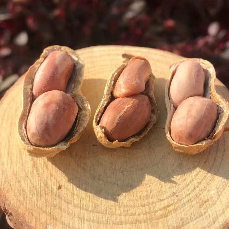 【产地直】新货花生蒜香花生批发炒熟零食多规格整箱包邮