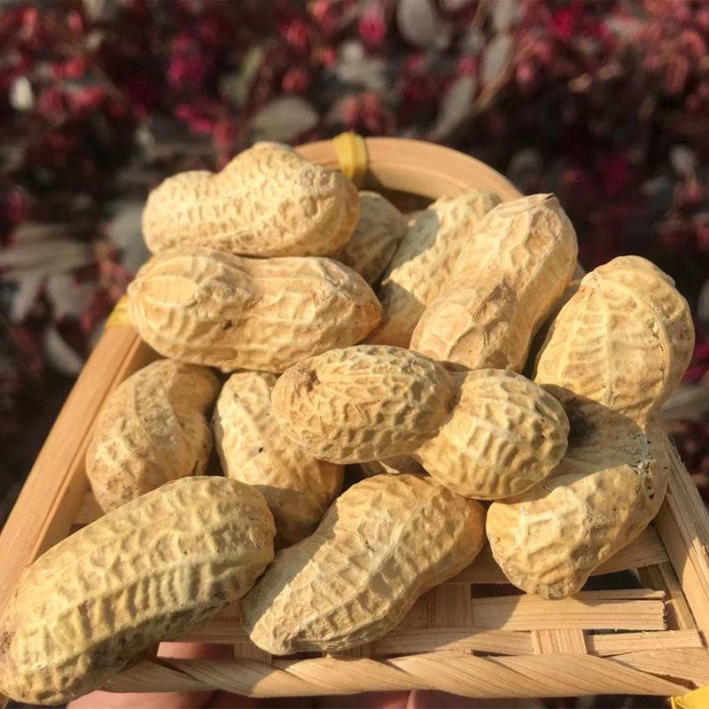【产地直】新货花生蒜香花生批发炒熟零食多规格整箱包邮
