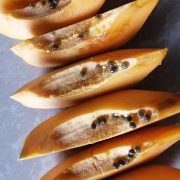 木瓜
