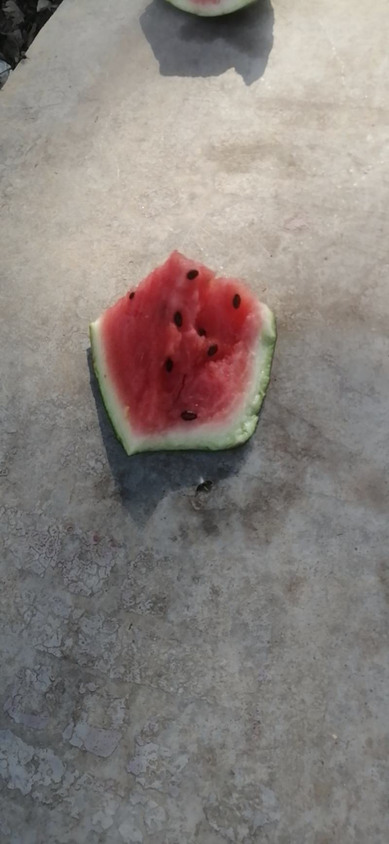 黄河边甜王大西瓜口感好皮薄