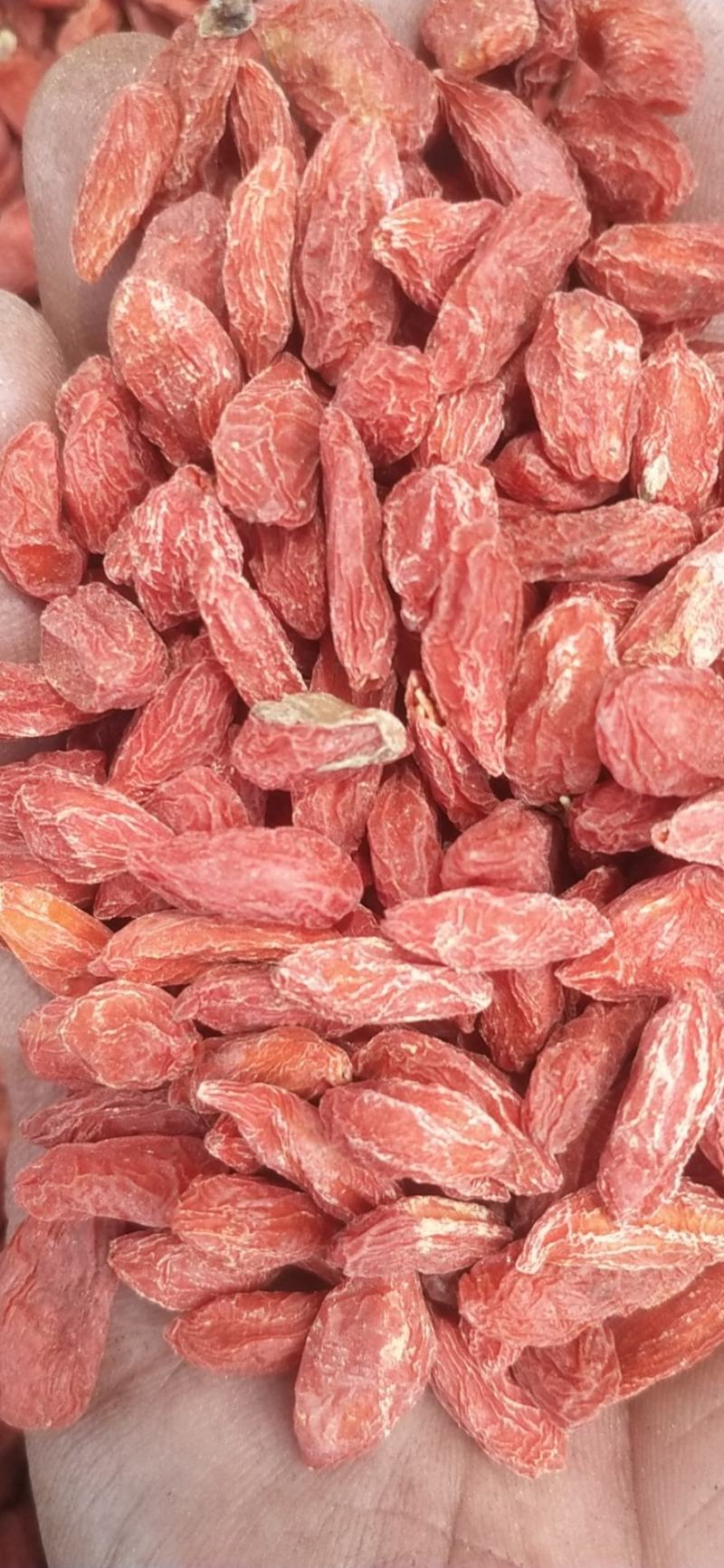 青海的品质特别好需要的联系