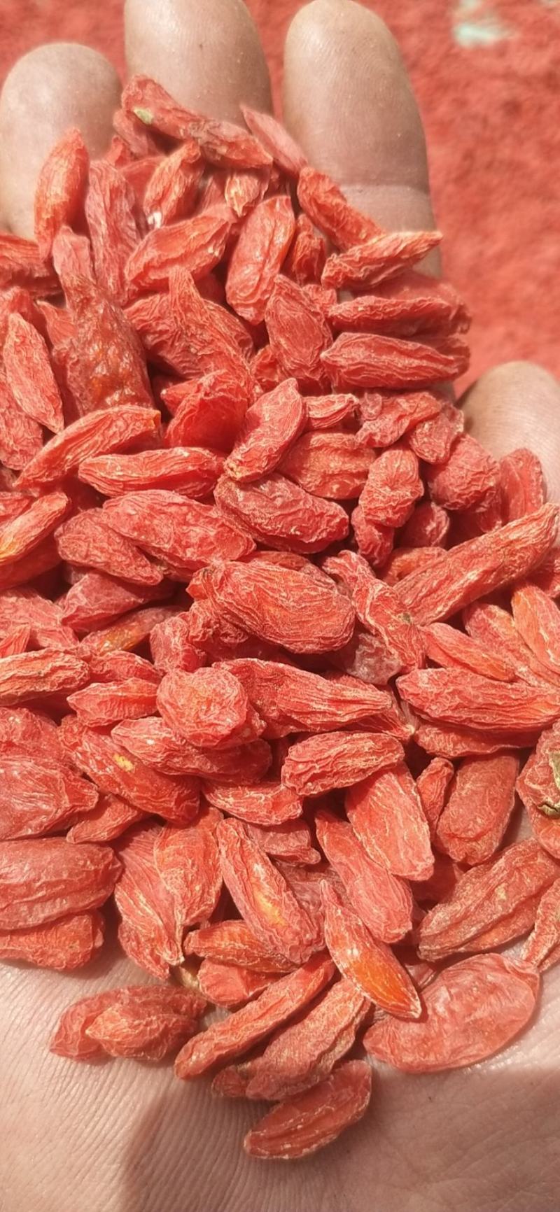 青海的品质特别好需要的联系