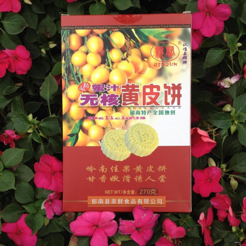 郁南蜜汁无核黄皮饼新乐群黄皮饼礼盒装云浮特产郁南特产